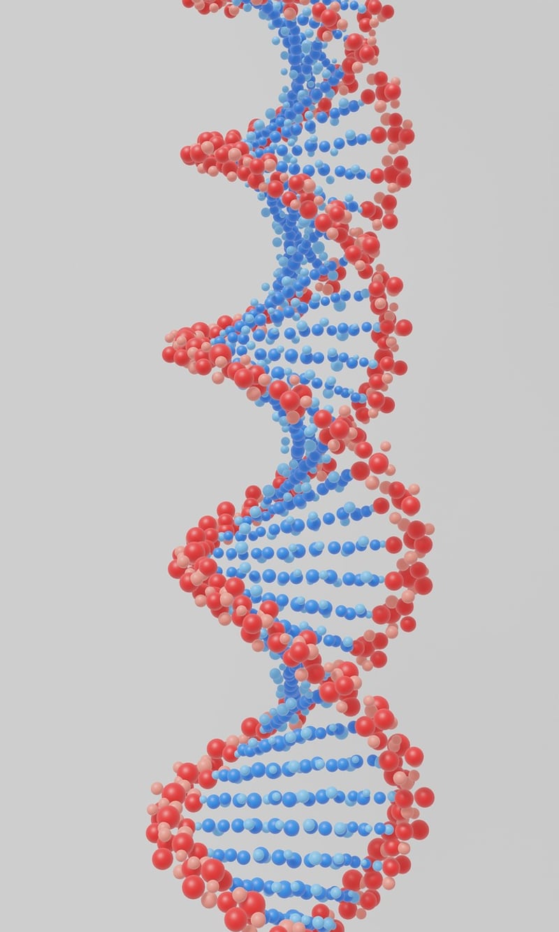 CRISPR Gene Editing